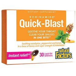 Natural Factors – Echinamide Quick-Blast Liquid-Gel Softchews – Soothe Your Throat & Sinuses, 30 Count