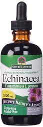 Nature’s Answer Alcohol-Free Echinacea, 4-Fluid Ounces