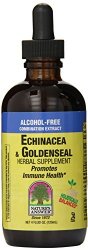 Nature’s Answer Alcohol-Free Echinacea and Goldenseal, 4-Fluid Ounces