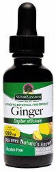 Nature’s Answer Alcohol-Free Ginger Root, 1-Fluid Ounce