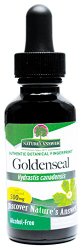 Nature’s Answer Alcohol-Free Goldenseal Root, 1-Fluid Ounce