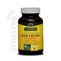 Nature’s Answer Extractacaps Nutritional Supplement, Hawthorn, 90 Count