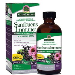Nature’s Answer Sambucus Immune Support, 4-Fluid Ounces