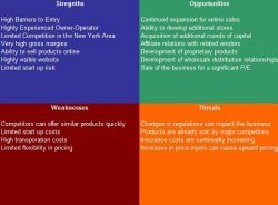 Asian Food Grocery Store SWOT Analysis Plus Business Plan