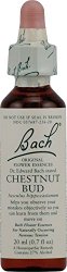Bach Original Flower Essences, Chestnut Bud, 20 ml