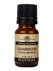 Cedarwood Atlantic 100% Pure Essential Oil – 10 ml