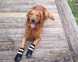 All Weather Neoprene Paw Protector Dog Boots with Reflective Velcro Straps in 5 Sizes! (Lg (3.5×3.5 in.)) Travel Zipper Case Included!