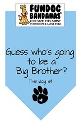 BANDANA – Guess Who’s Going to Be a Big Brother for Medium to Large Dogs – Light Blue