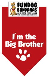 BANDANA – I’m the Big Brother for Medium to Large Dogs – red