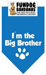 BANDANA – I’m the Big Brother for Medium to Large Dogs – turquoise