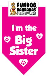 Big Sister Bandana for Medium to Large Dogs – hot pink