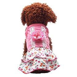 Binmer(TM)Pet Dog Clothes Puppy Flower Skirts Dress Crystal Bowknot Lace Floral Pet Princess Clothes (M)