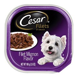 CESAR GOURMET FILETS Filet Mignon Flavor Dog Food Trays (Pack of 24)