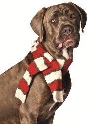 Chilly Dog White/Red Pet Scarf, Large