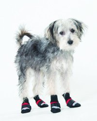 Fashion Pet Lookin Good Extreme All Weather Boots for Dogs, Large, Red