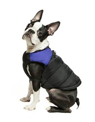Gooby Padded Cold Weather Vest for Small Dogs with Safe Fur Guard Zipper Closure, Blue, Medium