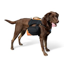 Kurgo 50-110 lb Big Baxter Dog Backpack, Large, Black/Orange