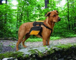 Kurgo Wander Dog Backpack