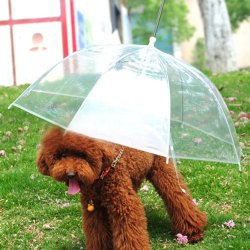 Lesypet Pet Umbrella Dog Umbrellar With Leash, Fits 23″ Back Length