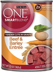 Purina ONE SmartBlend Wet Dog Food, Tender Cuts in Gravy Beef & Barley Entree, 13-Ounce Can, Pack of 12