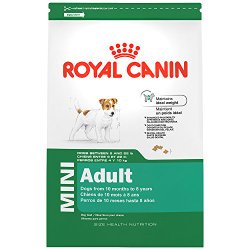 Royal Canin 2.5-Pound Adult Dry Dog Food, Mini