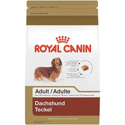 Royal Canin Dry Dog Food, Dachshund Formula, 10-Pound Bag