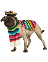 Rubies Costume Halloween Classics Collection Pet Costume, X-Large, Mexican Serape
