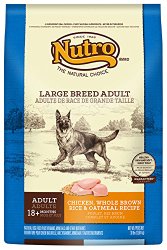The Nutro Company Adult Large Breed Dog Food with Chicken, Whole Brown Rice and Oatmeal Formula, 30-Pound