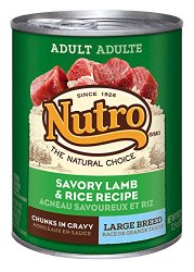 The Nutro Company Large Breed Adult Dog Food Can with Lamb and Rice Formula, 12.5-Ounce, Pack of 12