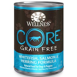 Wellness CORE Grain Free Salmon, Whitefish & Herring Natural Wet Canned Dog Food, 12.5-Ounce Can (Pack of 12)