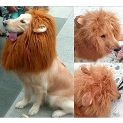 Wotefusi Halloween Pet Dog Cat Lion Wigs Mane Hair Festival Party Fancy Clothes Costume with Ears
