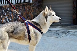 ARIKON Dog Leash Pet Harness, Adjustable Denim Pet Dog Leash Harness and Cowboy Strap Rope Chain- Comfortable for Your Pet
