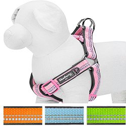 Blueberry Pet Step-in Harnesses 3M Reflective 3/4″ Medium Easter Spring Pastel Baby Pink Adjustable No Pull Padded Dog Harness