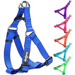 Blueberry Pet Step-in Harnesses 5/8″ Wide * 15.5-19.5″ Chest Classic Solid Color Adjustable Royal Blue Dog Harness, Small