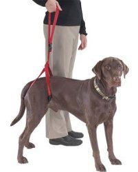 Bottom’s Up Hind-Leg Mobility Support Harness Leash, Black