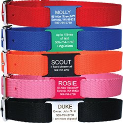 Custom Engraved Slide-on Pet Id Tag Comes with a Tough Nylon Dog Collar. Available in Assorted Colors and Sizes.