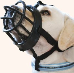 Dog Baskerville Ultra Muzzle