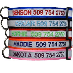 Embroidered Reflective Safety Personalized Dog Collar – Adjustable with Plastic Snap Closure