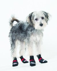 Fashion Pet Lookin Good Extreme All Weather Boots for Dogs, XXX-Small, Red
