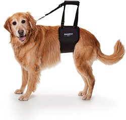 GingerLead Dog Support & Rehabilitation Harness – Lg Female Sling