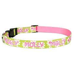 Green Daisy Personalized Dog Collar With Your Customized Text (Large (18-26″))