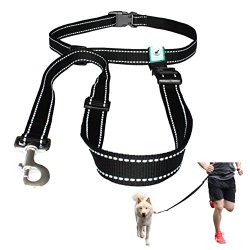 Hands Free Reflective Running, Walking, Hiking and Jogging Dog Leash for Large and Small Dogs