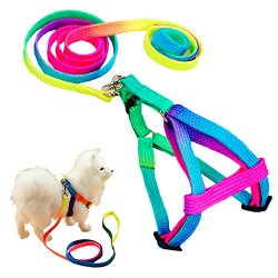 Miyoo Pet Leash Harness Set Colour Profusion High Quality Strong Durable Nylon Puppy Cat Rabbit Kitten Pull Dog Harness and Leash Set Adjustable Puppy Harnesses Lead Set