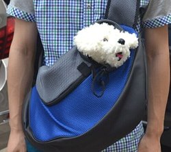 Pet Dog Cat Puppy Carrier Mesh Travel Tote Shoulder Bag Sling Backpack (Blue, S)