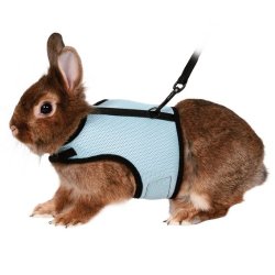 Trixie Soft Harness With Lead To Fit : Rabbits