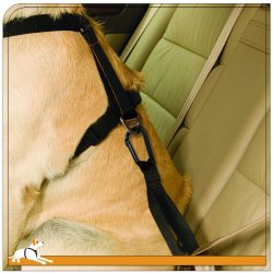 Tru-Fit Smart Harness Seatbelt Loop