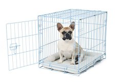 Carlson Blue Secure and Compact Single Door Metal Dog Crate, Small