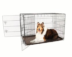 Carlson Secure and Compact Double Door Metal Dog Crate, Extra Large