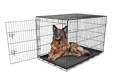 Carlson Secure and Compact Single Door Metal Dog Crate, Extra Large