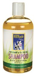 DERMagic Peppermint & Tea Tree Oil Shampoo 12 fl. oz.